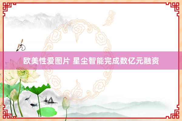 欧美性爱图片 星尘智能完成数亿元融资