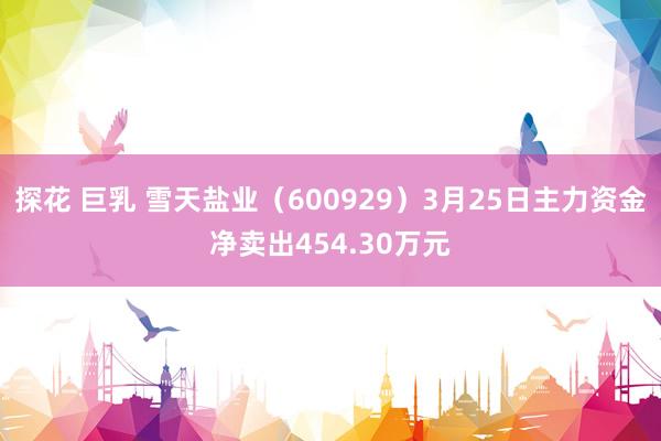 探花 巨乳 雪天盐业（600929）3月25日主力资金净卖出454.30万元