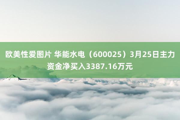 欧美性爱图片 华能水电（600025）3月25日主力资金净买入3387.16万元