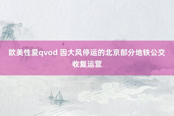 欧美性爱qvod 因大风停运的北京部分地铁公交收复运营