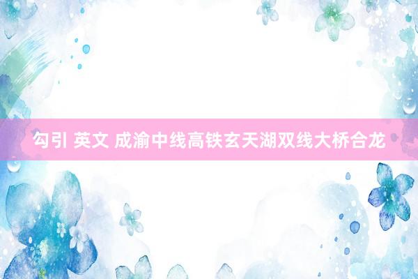 勾引 英文 成渝中线高铁玄天湖双线大桥合龙