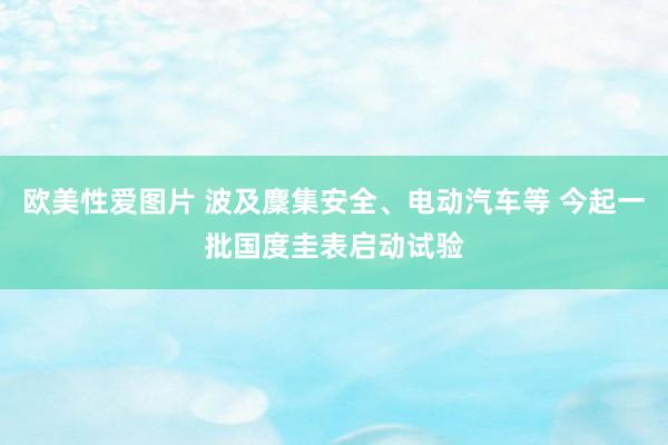欧美性爱图片 波及麇集安全、电动汽车等 今起一批国度圭表启动试验