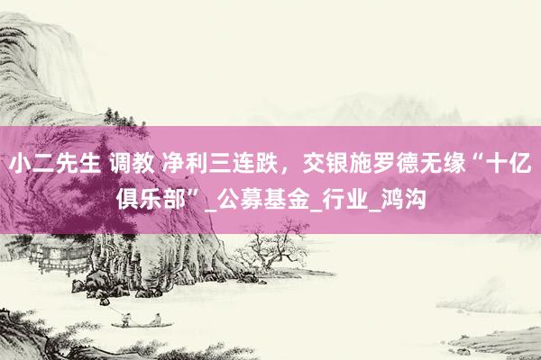 小二先生 调教 净利三连跌，交银施罗德无缘“十亿俱乐部”_公募基金_行业_鸿沟