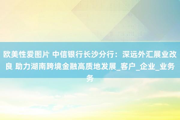 欧美性爱图片 中信银行长沙分行：深远外汇展业改良 助力湖南跨境金融高质地发展_客户_企业_业务