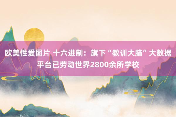 欧美性爱图片 十六进制：旗下“教训大脑”大数据平台已劳动世界2800余所学校