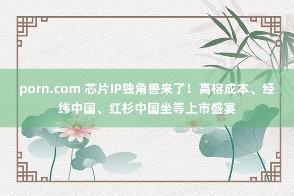 porn.com 芯片IP独角兽来了！高榕成本、经纬中国、红杉中国坐等上市盛宴
