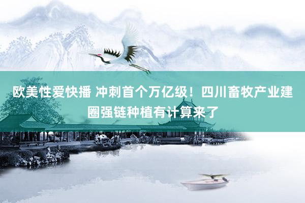 欧美性爱快播 冲刺首个万亿级！四川畜牧产业建圈强链种植有计算来了