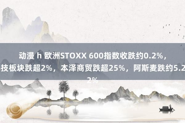 动漫 h 欧洲STOXX 600指数收跌约0.2%，科技板块跌超2%，本泽商贸跌超25%，阿斯麦跌约5.2%