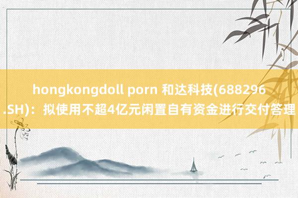 hongkongdoll porn 和达科技(688296.SH)：拟使用不超4亿元闲置自有资金进行交付答理