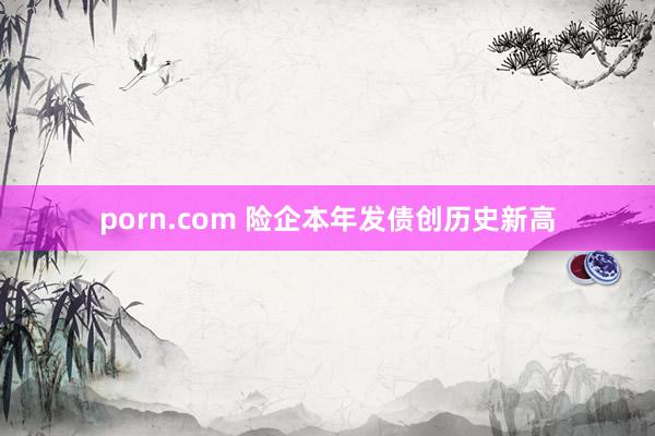 porn.com 险企本年发债创历史新高