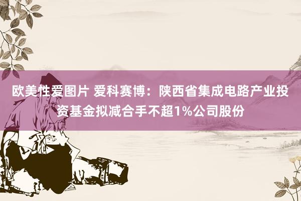 欧美性爱图片 爱科赛博：陕西省集成电路产业投资基金拟减合手不超1%公司股份