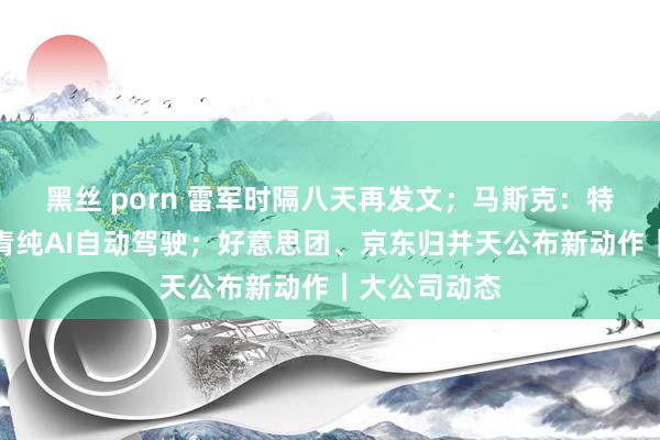 黑丝 porn 雷军时隔八天再发文；马斯克：特斯拉行将杀青纯AI自动驾驶；好意思团、京东归并天公布新动作｜大公司动态