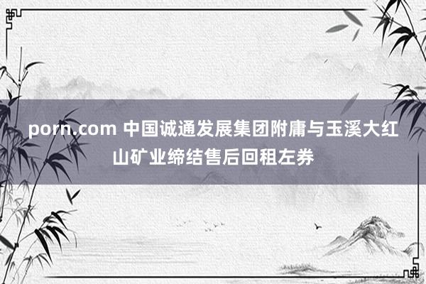 porn.com 中国诚通发展集团附庸与玉溪大红山矿业缔结售后回租左券