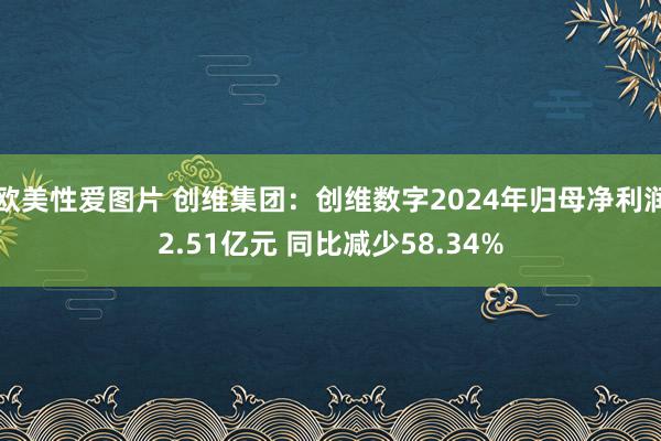 欧美性爱图片 创维集团：创维数字2024年归母净利润2.51亿元 同比减少58.34%