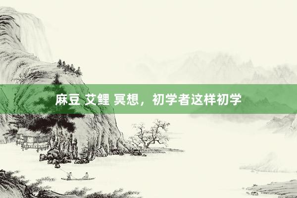 麻豆 艾鲤 冥想，初学者这样初学