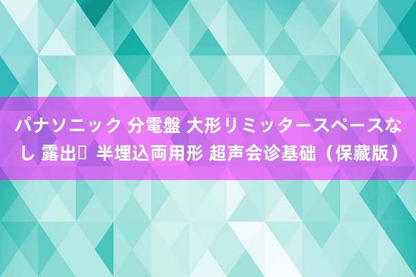 パナソニック 分電盤 大形リミッタースペースなし 露出・半埋込両用形 超声会诊基础（保藏版）