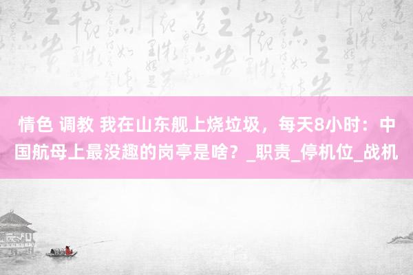 情色 调教 我在山东舰上烧垃圾，每天8小时：中国航母上最没趣的岗亭是啥？_职责_停机位_战机