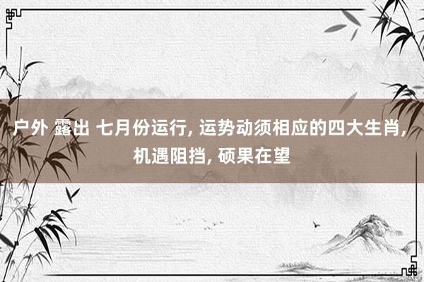 户外 露出 七月份运行， 运势动须相应的四大生肖， 机遇阻挡， 硕果在望